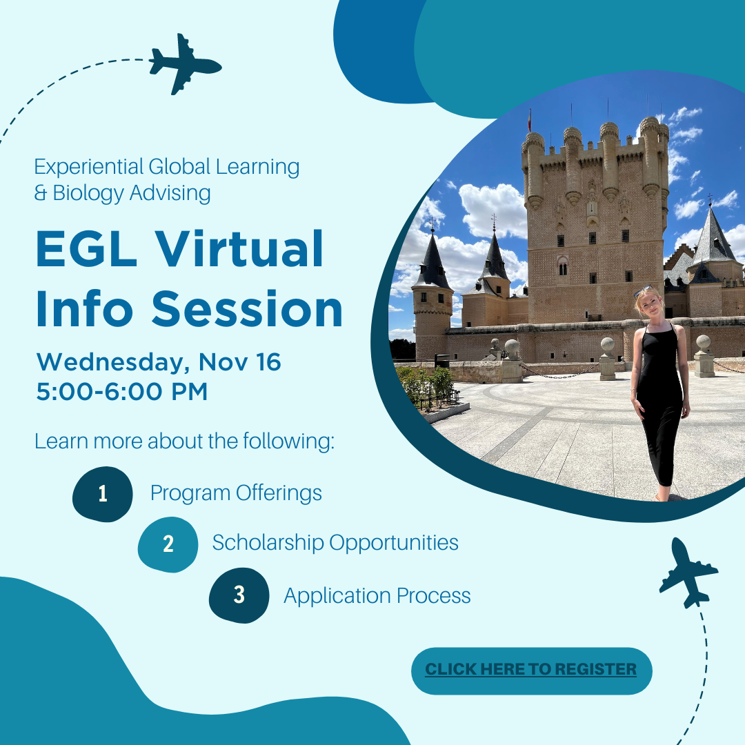 Flyer of a Experiential Global Learning office information session hosted on Wednesday, November 16th from 5-6pm via WebEx. Topics covered include program offerings, scholarship opportunities, and the application process.